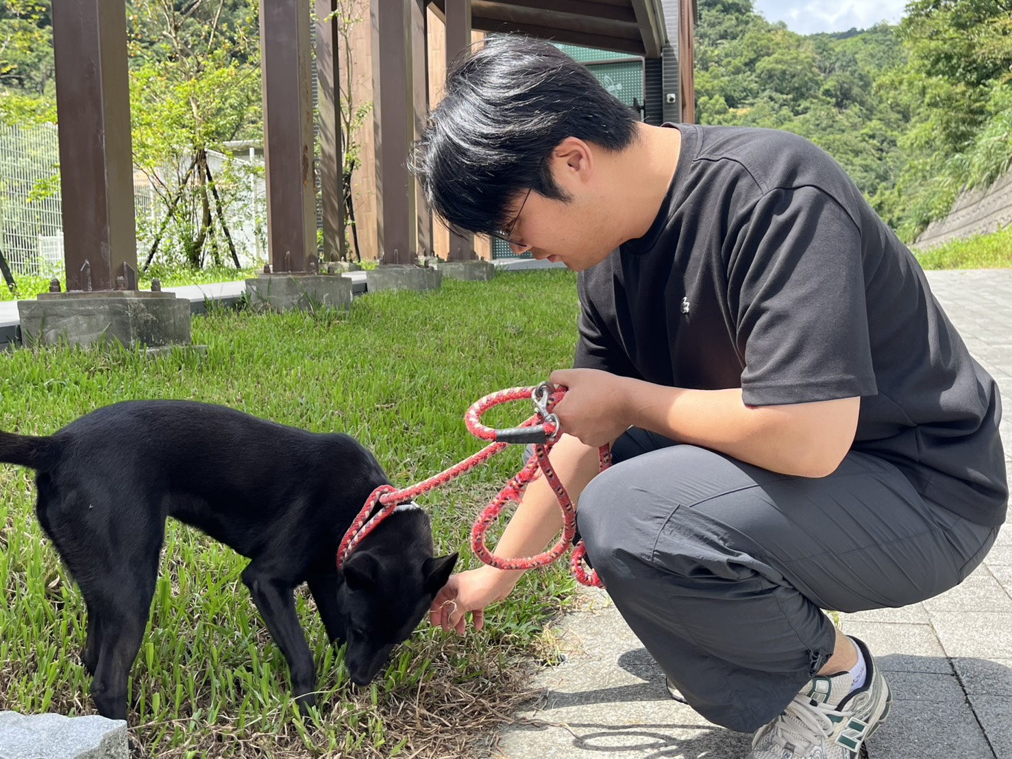 Members of the Livestock Health Control Association said that the dogs at the Ruifang Animal Shelter were very friendly toward people