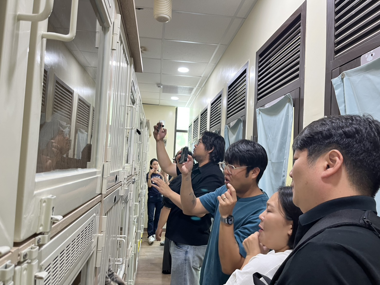Members of the Livestock Health Control Association’s disease prevention and control team took out their phones to photograph the adorable cats in the cattery