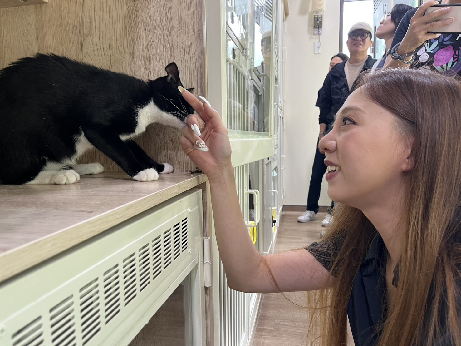 Section Chief Kim of the Livestock Health Control Association said that she has more than 20 cats at home, so she is particularly drawn to cats