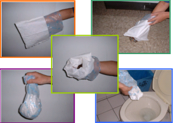 picture shows how to clean pet